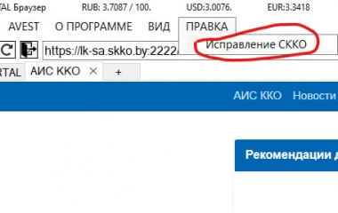 Проблемы с порталом СККО